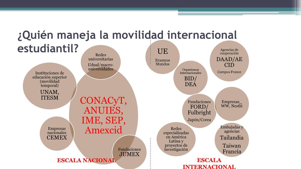 CONACyT, ANUIES, IME, SEP, Amexcid ESCALA NACIONAL Fundaciones JUMEX UE Erasmus Mundus Redes especializadas en América Latina y proyectos de