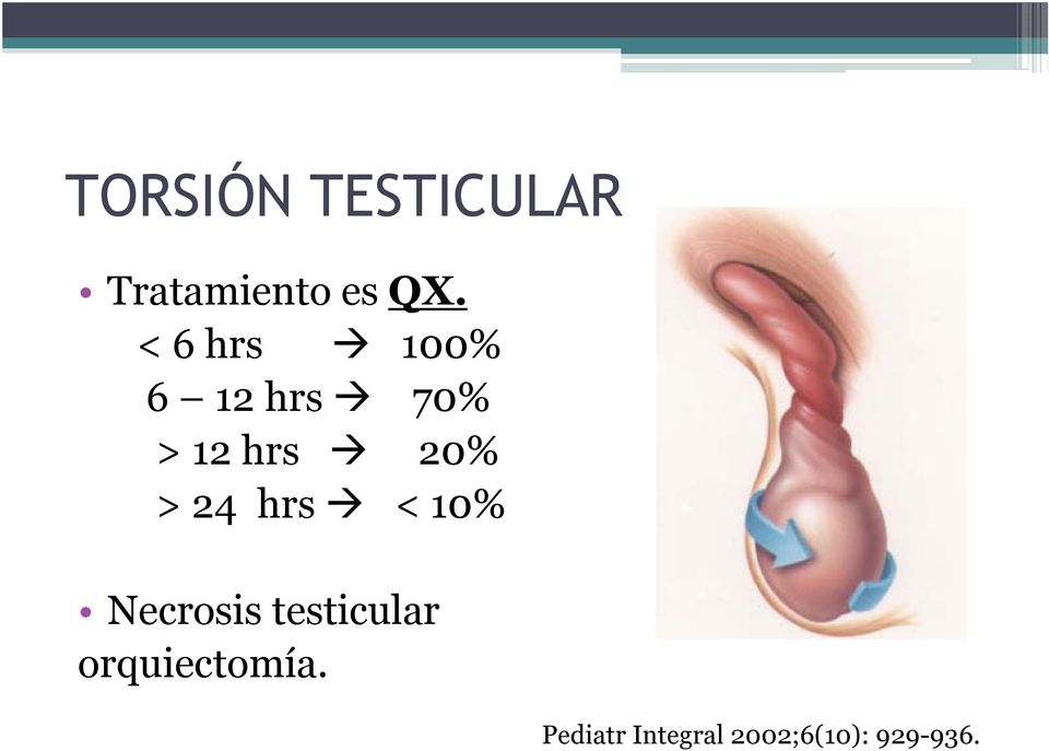 24 hrs < 10% Necrosis testicular