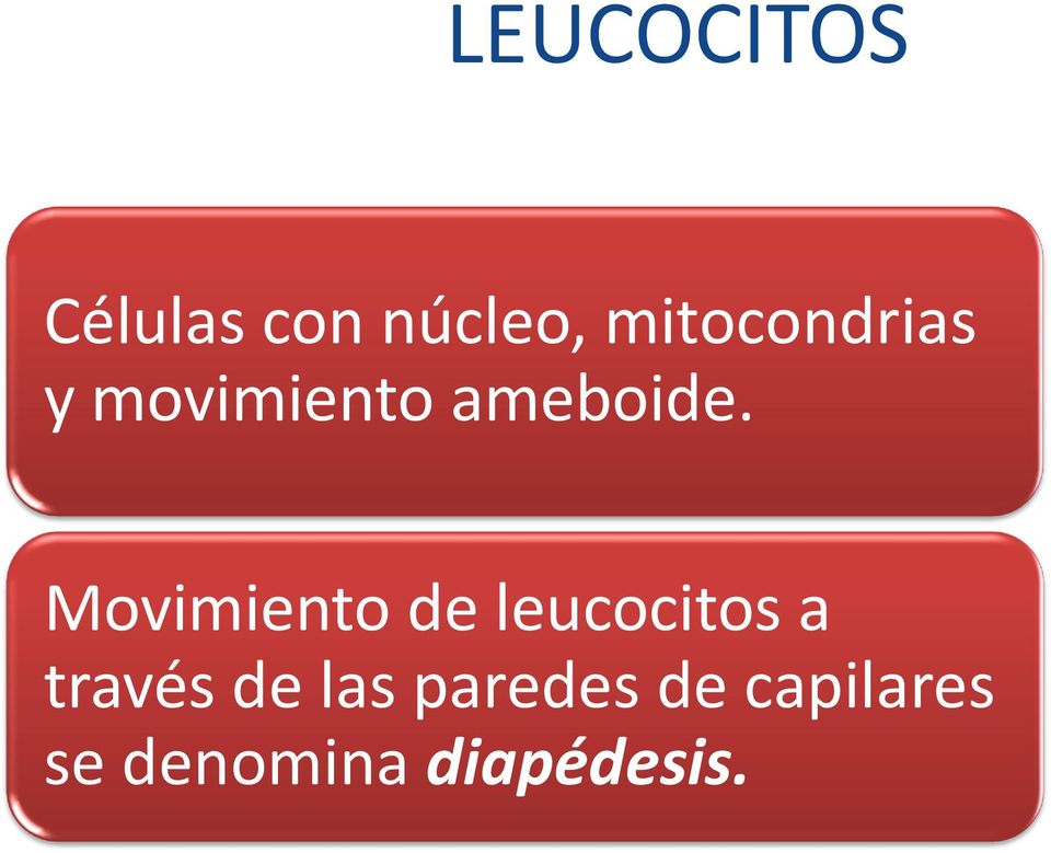 Movimiento de leucocitos a través de