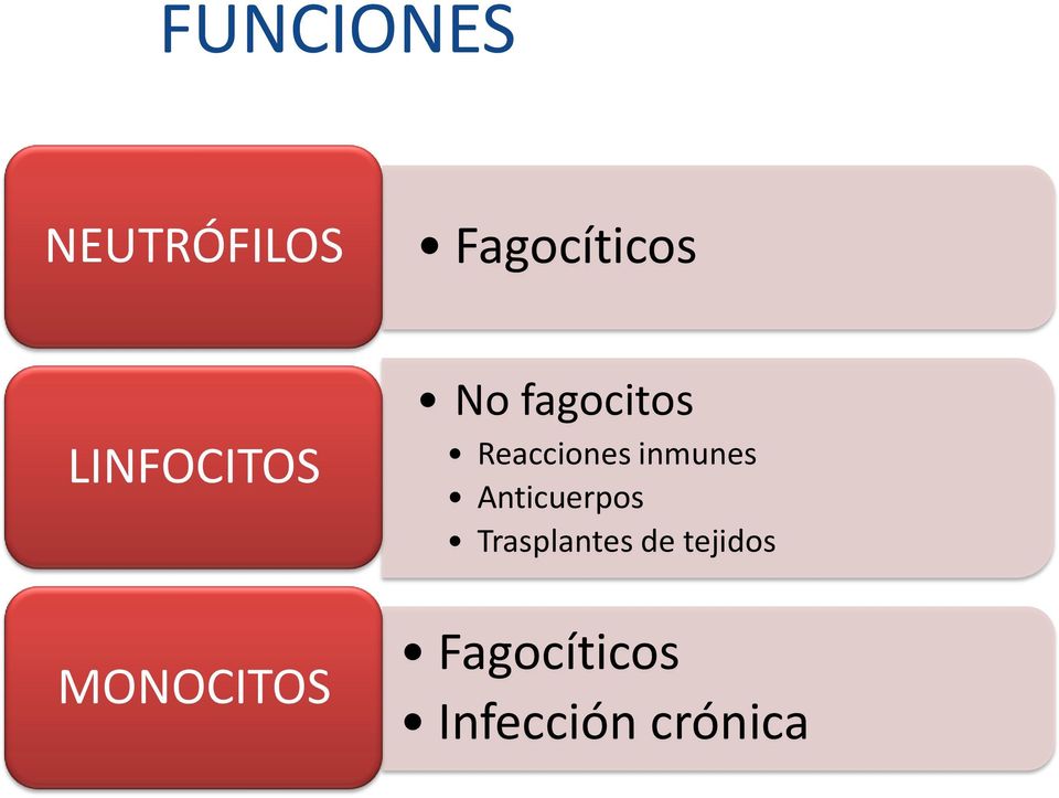 Reacciones inmunes Anticuerpos