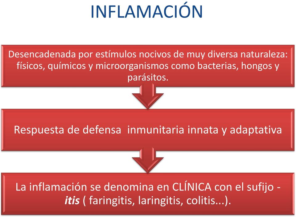 Respuesta de defensa inmunitaria innata y adaptativa La inflamación se