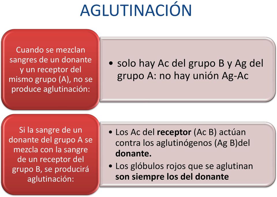 grupo A se mezcla con la sangre de un receptor del grupo B, se producirá aglutinación: Los Ac del receptor