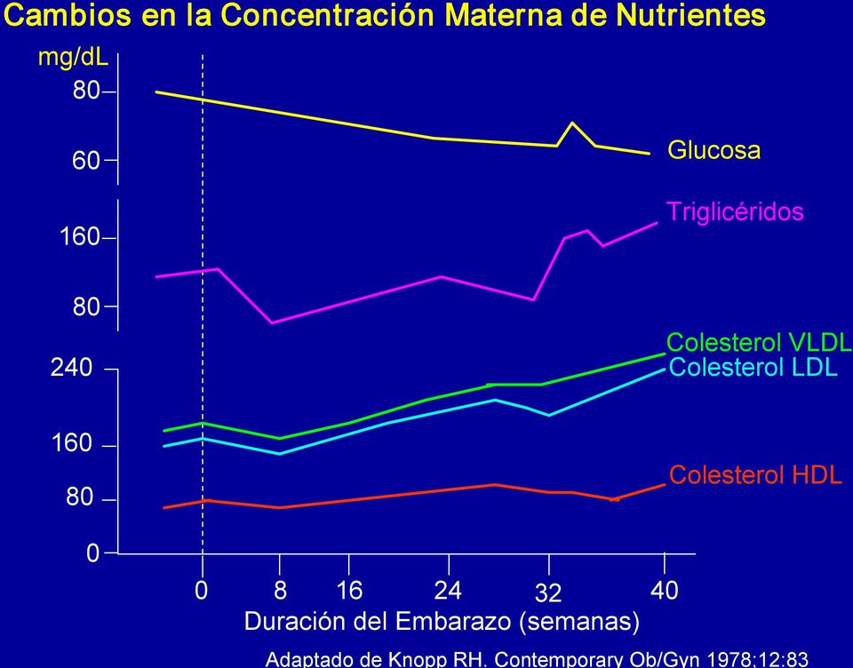 LDL 16 8 Colesterol HDL 8 16 24 32 4 Duración del Embarazo