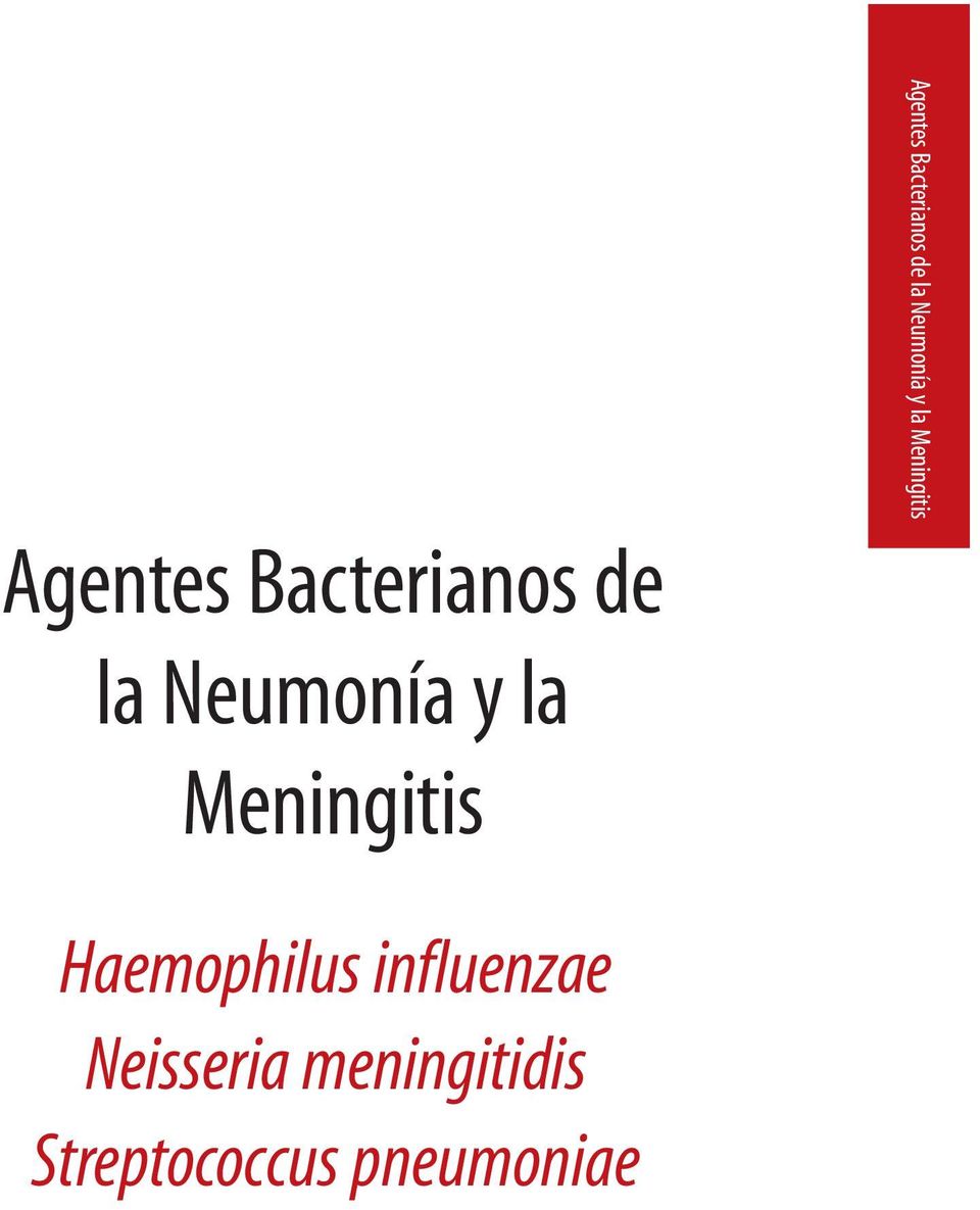 influenzae Neisseria meningitidis