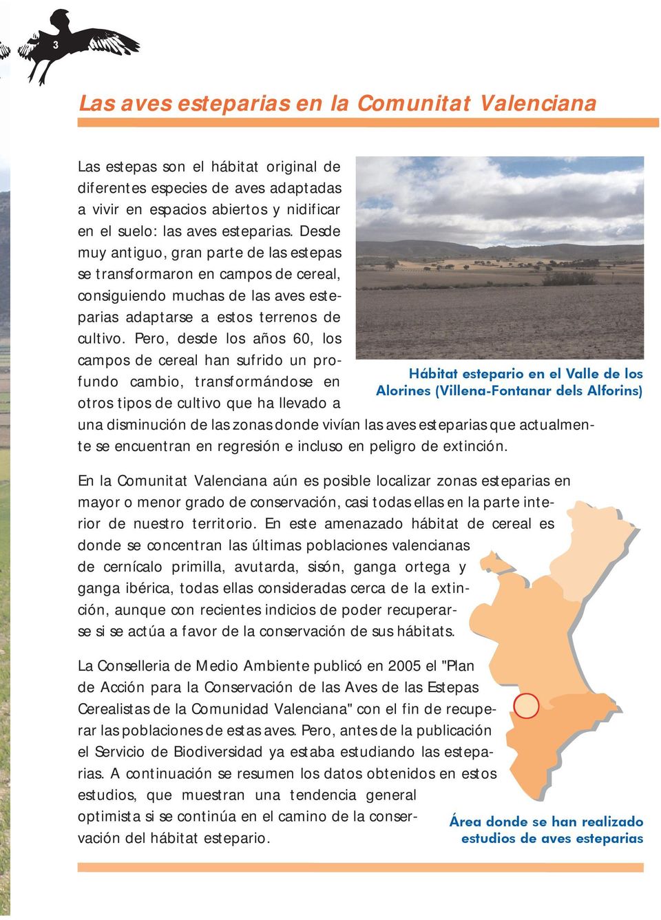 Pero, desde los años 60, los campos de cereal han sufrido un profundo cambio, transformándose en Hábitat estepario en el Valle de los Alorines (Villena-Fontanar dels Alforins) otros tipos de cultivo