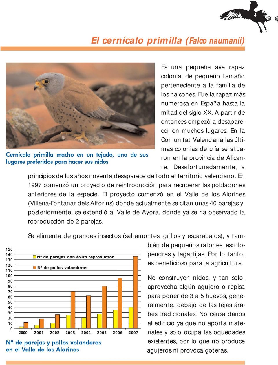 En la Comunitat Valenciana las últimas colonias de cría se situaron en la provincia de Alican- Cernícalo primilla macho en un tejado, uno de sus lugares preferidos para hacer sus nidos te.