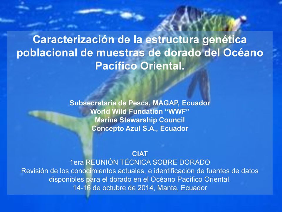 AP, Ecuador World Wild Fundation WWF Marine Stewarship Council Concepto Azul S.A., Ecuador CIAT 1era REUNIÓN