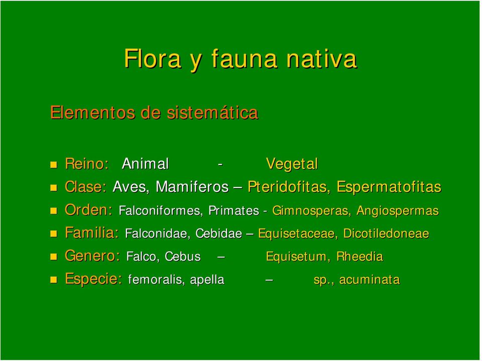 Primates - Gimnosperas Familia: Falconidae, Cebidae Equisetaceae, Dicotiledoneae Gimnosperas,