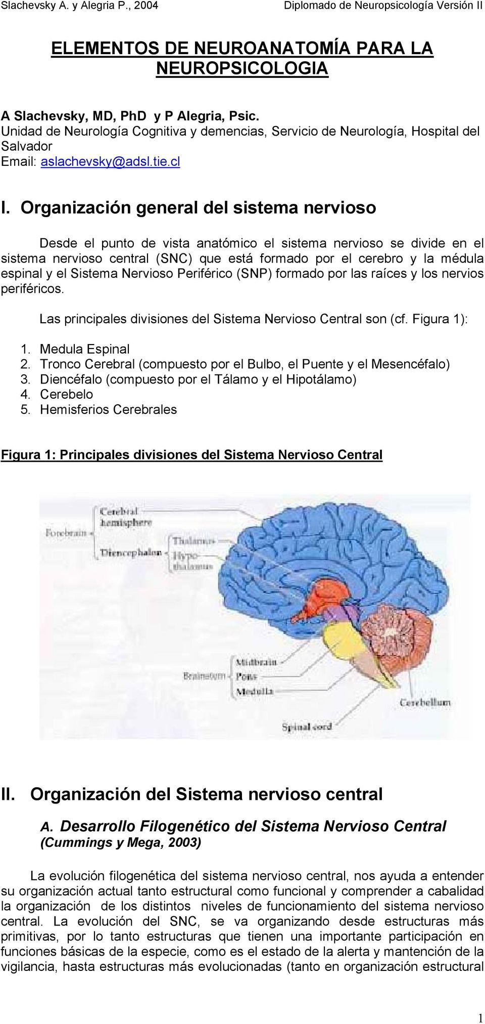 Organización general del sistema nervioso Desde el punto de vista anatómico el sistema nervioso se divide en el sistema nervioso central (SNC) que está formado por el cerebro y la médula espinal y el
