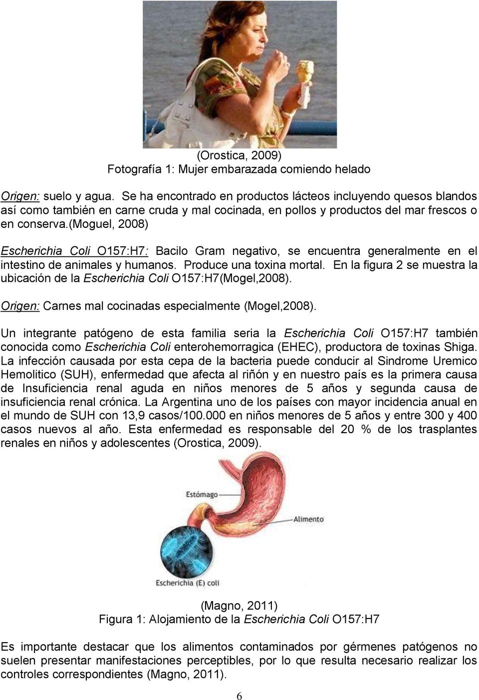 (moguel, 2008) Escherichia Coli O157:H7: Bacilo Gram negativo, se encuentra generalmente en el intestino de animales y humanos. Produce una toxina mortal.