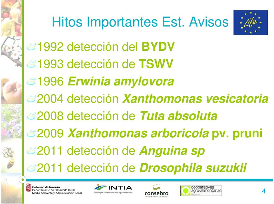 amylovora 2004 detección Xanthomonas vesicatoria 2008 detección de