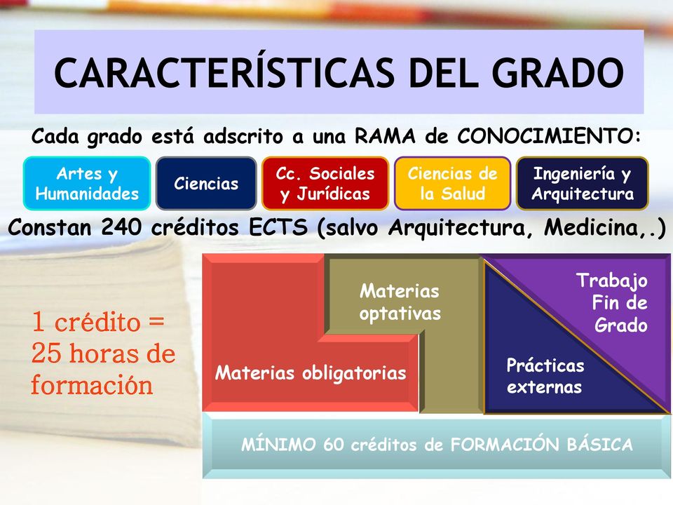 Sociales y Jurídicas Ciencias de la Salud Ingeniería y Arquitectura Constan 240 créditos ECTS