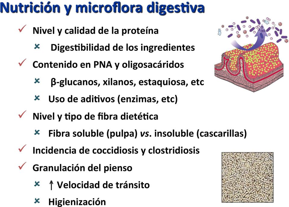 (enzimas, etc) ü Nivel y >po de fibra dieté>ca û Fibra soluble (pulpa) vs.
