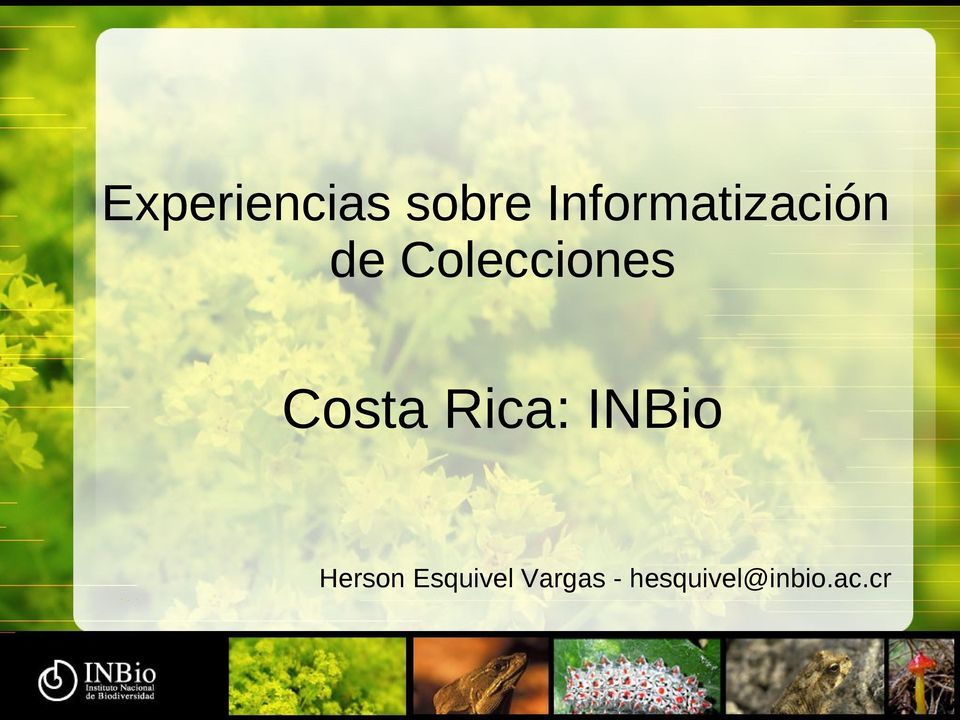 Colecciones Costa Rica: