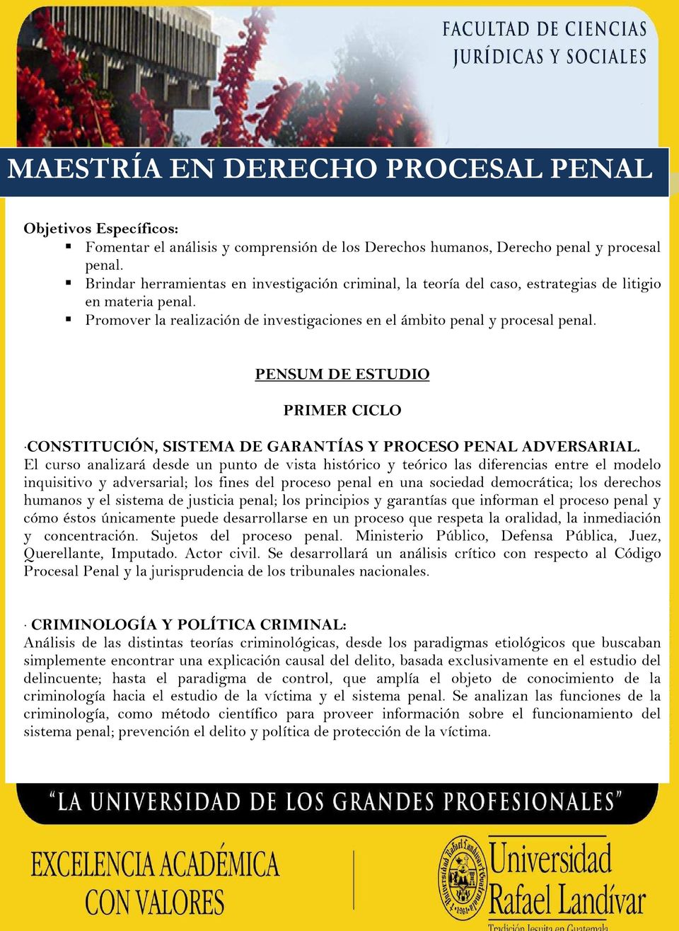 PENSUM DE ESTUDIO PRIMER CICLO CONSTITUCIÓN, SISTEMA DE GARANTÍAS Y PROCESO PENAL ADVERSARIAL.