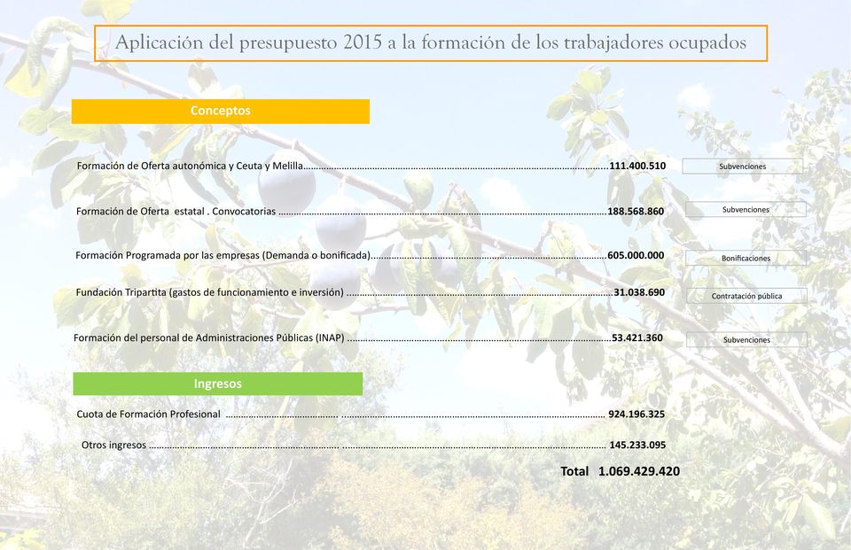 000.000 Bonificaciones Fundación Tripartita (gastos de funcionamiento e inversión).....31.038.