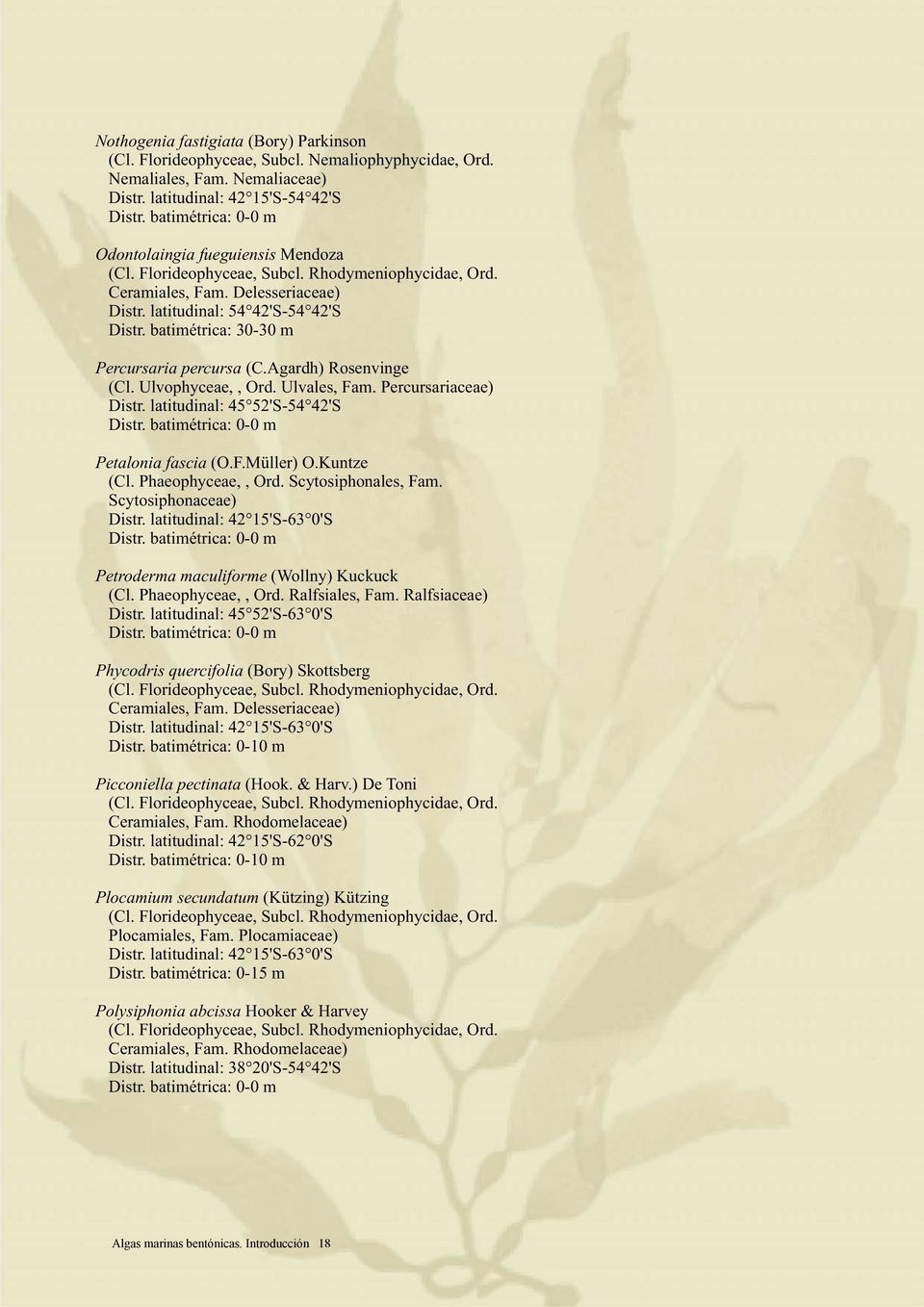 latitudinal: 45 52'S-54 42'S Petalonia fascia (O.F.Müller) O.Kuntze (Cl. Phaeophyceae,, Ord. Scytosiphonales, Fam. Scytosiphonaceae) Distr.