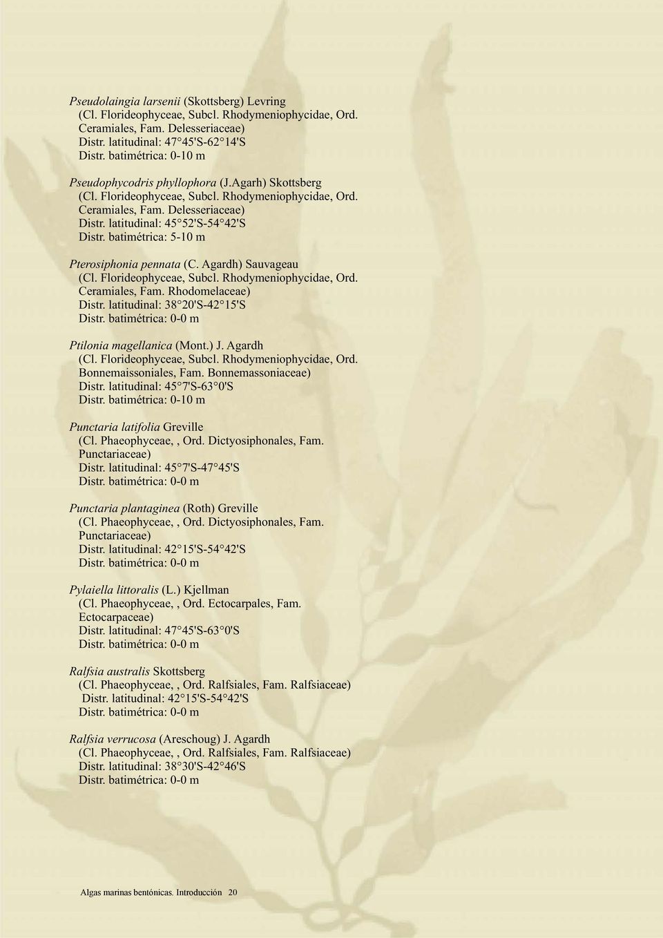 latitudinal: 38 20'S-42 15'S Ptilonia magellanica (Mont.) J. Agardh Bonnemaissoniales, Fam. Bonnemassoniaceae) Distr. latitudinal: 45 7'S-63 0'S Punctaria latifolia Greville (Cl. Phaeophyceae,, Ord.