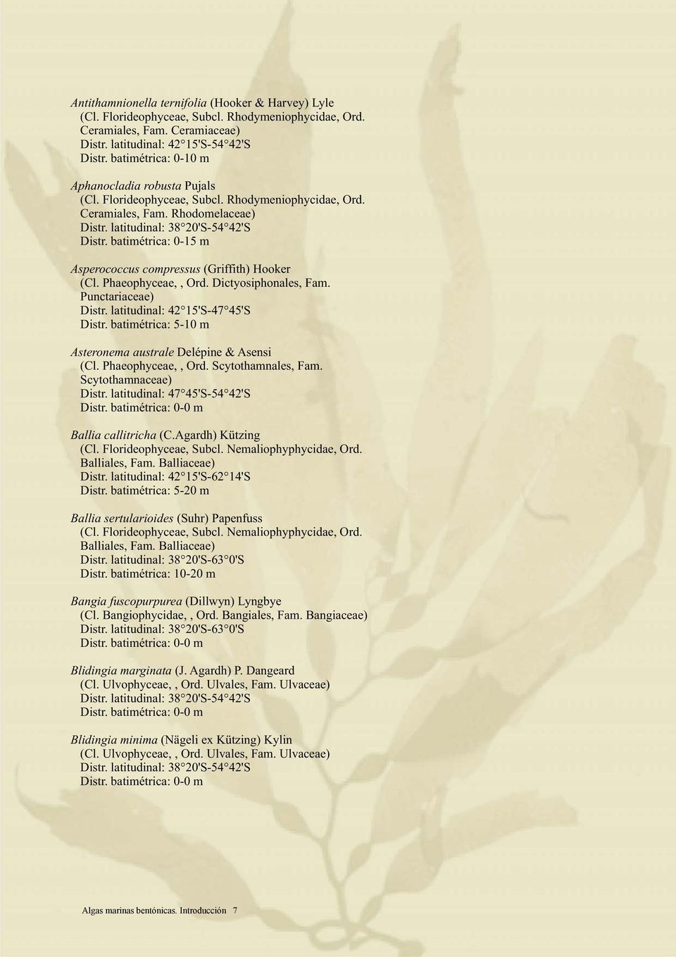 batimétrica: 5-10 m Asteronema australe Delépine & Asensi (Cl. Phaeophyceae,, Ord. Scytothamnales, Fam. Scytothamnaceae) Distr. latitudinal: 47 45'S-54 42'S Ballia callitricha (C.Agardh) Kützing (Cl.