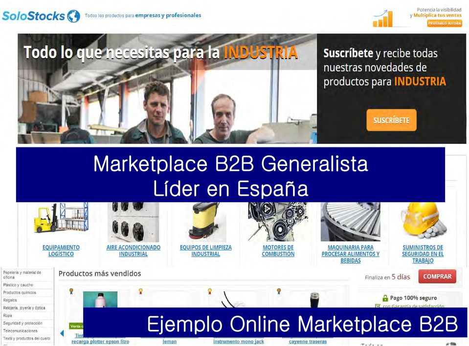 Marketplace B2B Generalista Líder