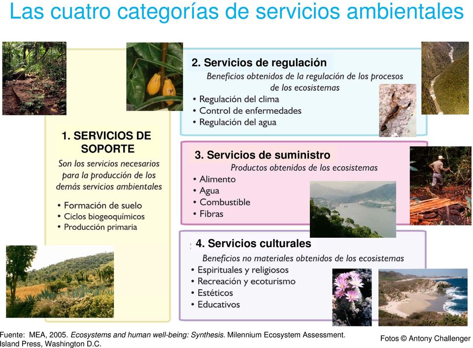 Servicios de suministro 4. Servicios culturales Fuente: MEA, 2005.