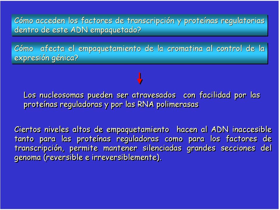 Los nucleosomas pueden ser atravesados con facilidad por las proteínas reguladoras y por las RNA polimerasas Ciertos niveles altos