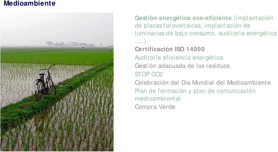 .) Certificación ISO 14000 Auditoria eficiencia energética Gestión adecuada de los residuos