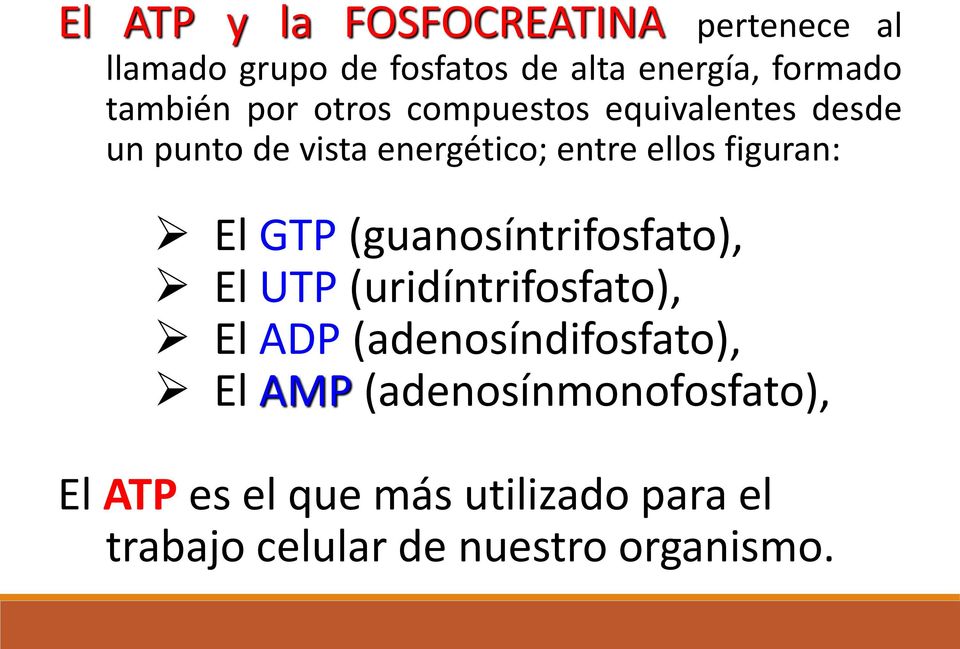 figuran: El GTP (guanosíntrifosfato), El UTP (uridíntrifosfato), El ADP (adenosíndifosfato),