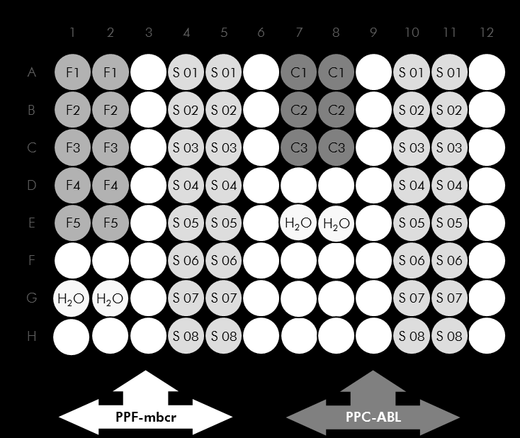Figura 4. Configuración de placa recomendada para un experimento. S: muestra de ADNc; F1-5: patrones de BCR-ABL mbcr; C1-3: patrones de ABL; H 2 O: control de agua.