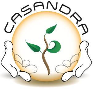 CasandraCC: Análisis del impacto y vulnerabilidad al