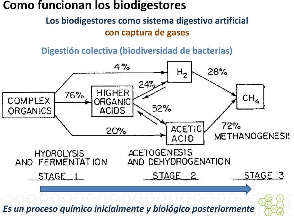 gases Digestión colectiva (biodiversidad de