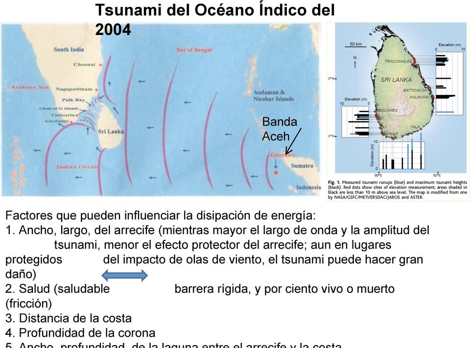 aun en lugares protegidos del impacto de olas de viento, el tsunami puede hacer gran daño) 2.