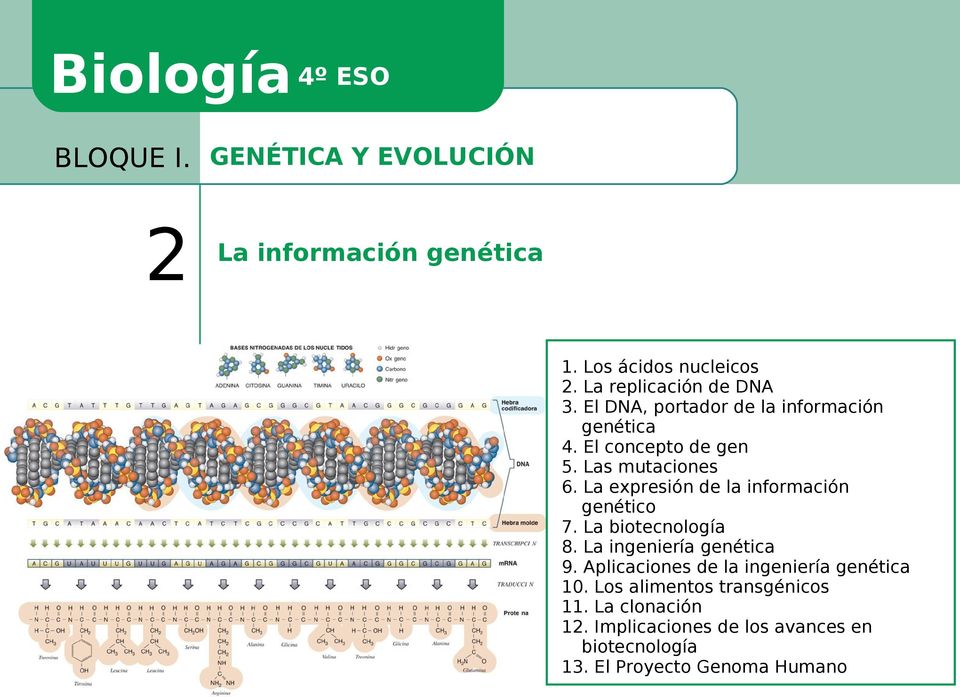 La expresión de la información genético 7. La biotecnología 8. La ingeniería genética 9.