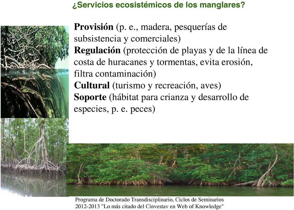 , madera, pesquerías de subsistencia y comerciales) Regulación (protección de playas y de la línea de costa de