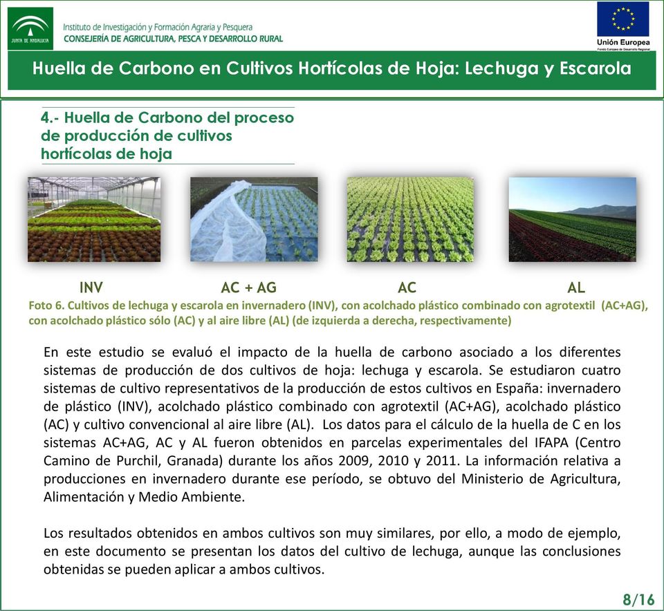 libre (AL) (de izquierda a derecha, respectivamente) En este estudio se evaluó el impacto de la huella de carbono asociado a los diferentes sistemas de producción de dos cultivos de hoja: lechuga y