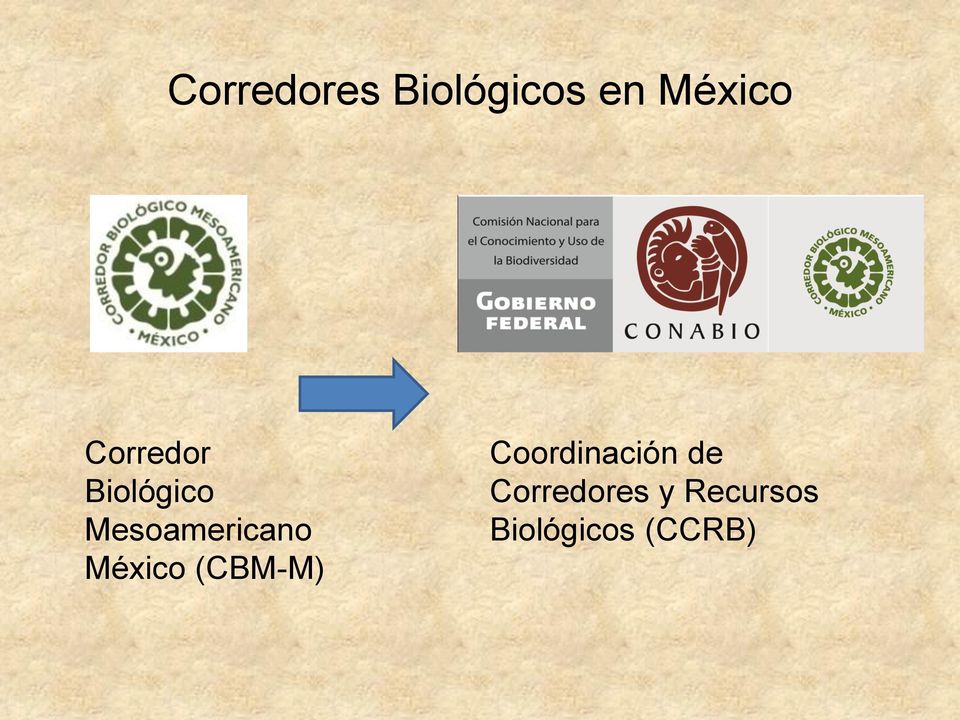 México (CBM-M) Coordinación de