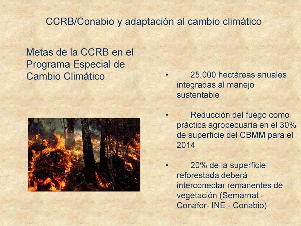 fuego como práctica agropecuaria en el 30% de superficie del CBMM para el 2014 20% de la
