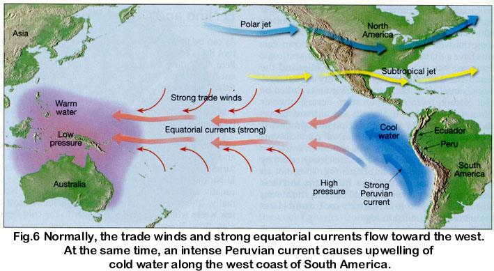 Nadie conoce la combinación exacta de factores que causan FANs pero los expertos creen que temperaturas altas (como durante períodos El Niño), en combinación con poco viento y baja precipitación son