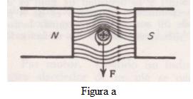 En la figura (a) se ve el campo resultante de la superposición del campo principal y el creado por la corriente del conductor.