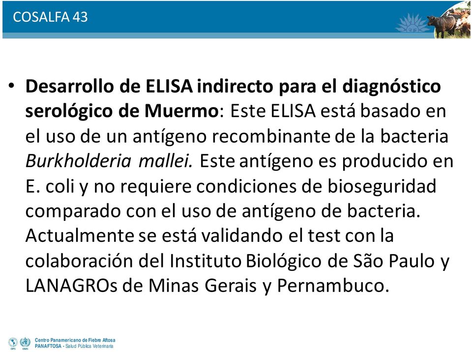 coli y no requiere condiciones de bioseguridad comparado con el uso de antígeno de bacteria.