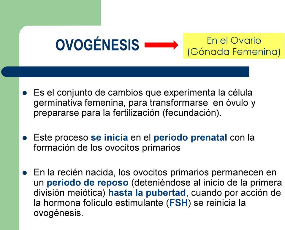 Este proceso se inicia en el periodo prenatal con la formación de los ovocitos primarios En la recién nacida, los ovocitos