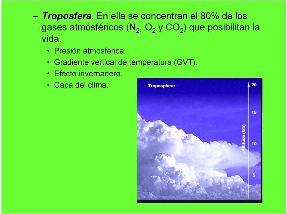 atmósféricos (N 2, O 2 y CO 2 ) que posibilitan la