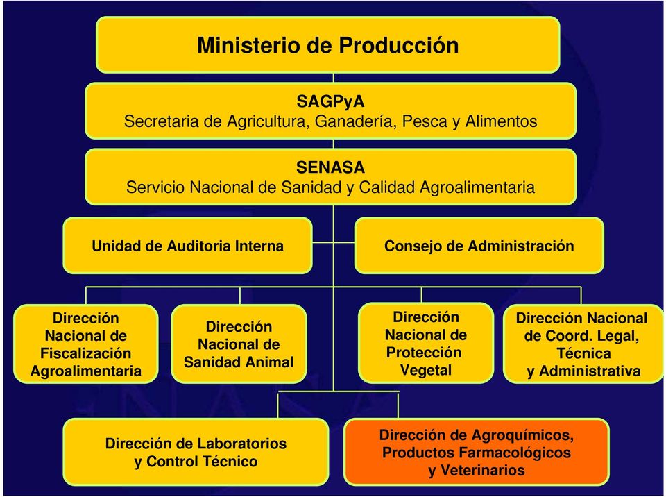 Agroalimentaria Dirección Nacional de Sanidad Animal Dirección Nacional de Protección Vegetal Dirección Nacional de Coord.