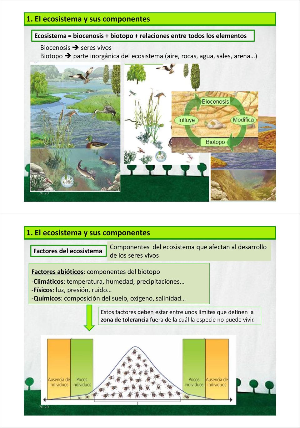 El ecosistema y sus componentes Factores del ecosistema Componentes del ecosistema que afectan al desarrollo de los seres vivos Factores abióticos: componentes
