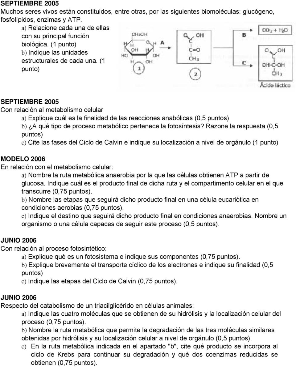 (1 punto) SEPTIEMBRE 2005 Con relación al metabolismo celular a) Explique cuál es la finalidad de las reacciones anabólicas (0,5 puntos) b) A qué tipo de proceso metabólico pertenece la fotosíntesis?