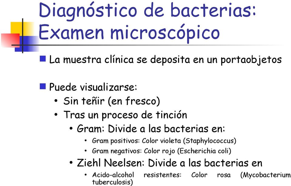 en: Gram positivos: Color violeta (Staphylococcus) Gram negativos: Color rojo (Escherichia coli)