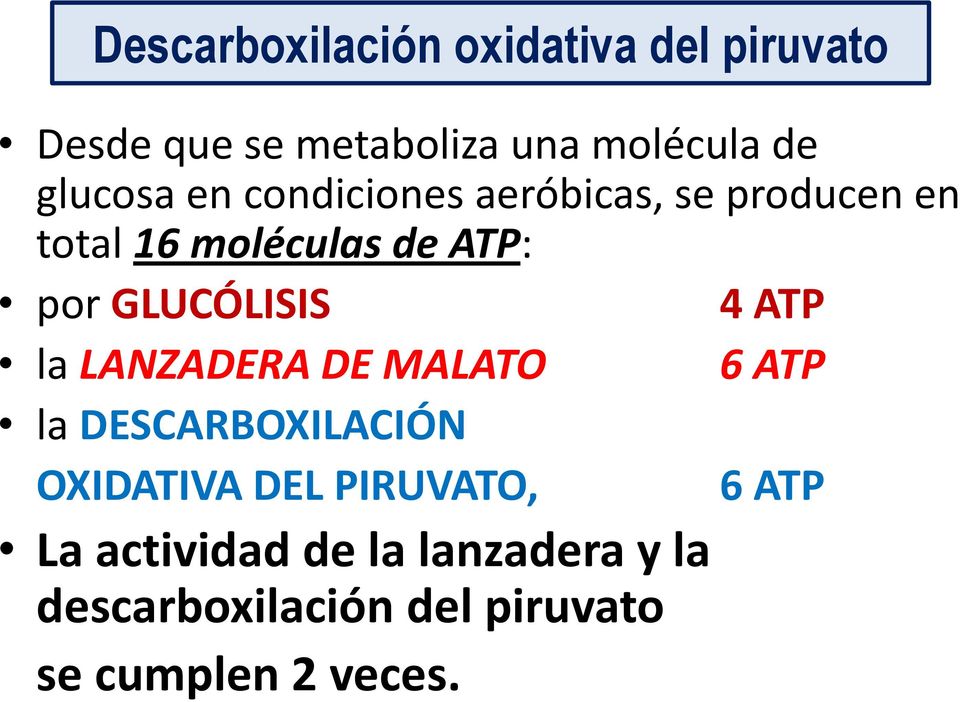 GLUCÓLISIS 4 ATP la LANZADERA DE MALATO 6 ATP la DESCARBOXILACIÓN OXIDATIVA DEL