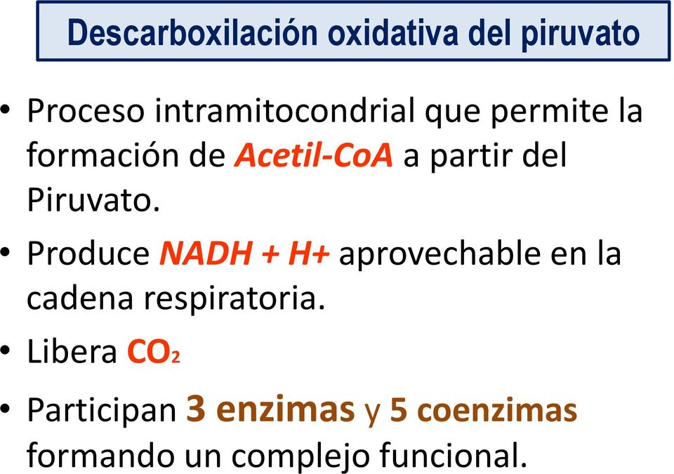 Produce NADH + H+ aprovechable en la cadena respiratoria.
