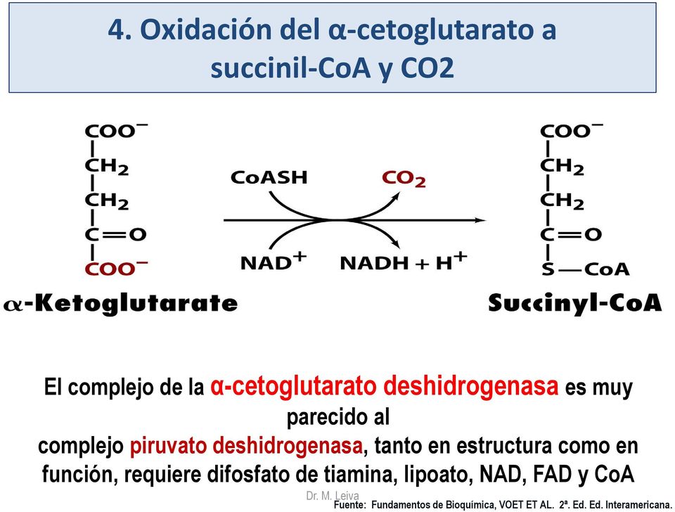 deshidrogenasa, tanto en estructura como en función, requiere difosfato de