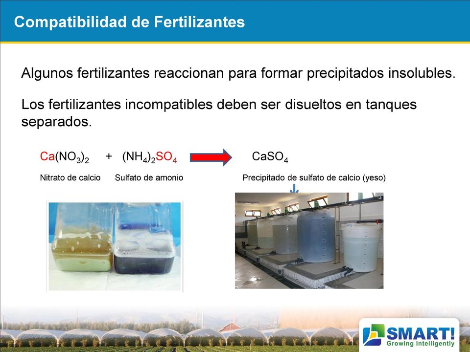 Los fertilizantes incompatibles deben ser disueltos en tanques